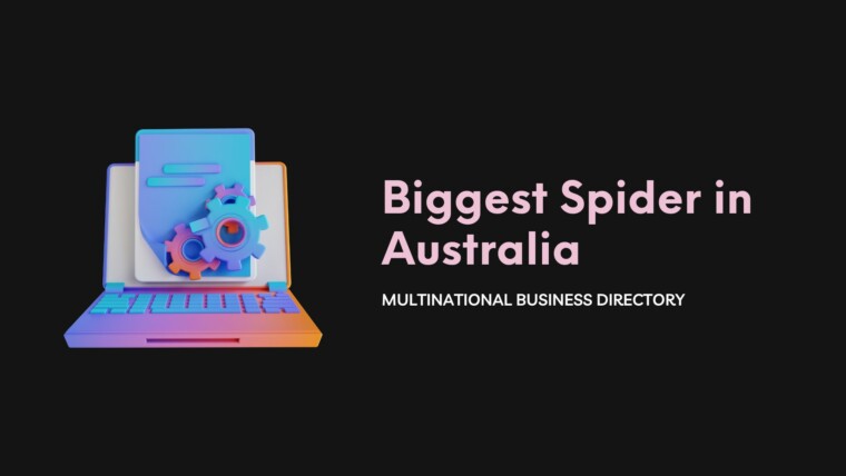 Cover Biggest Spider In Australia