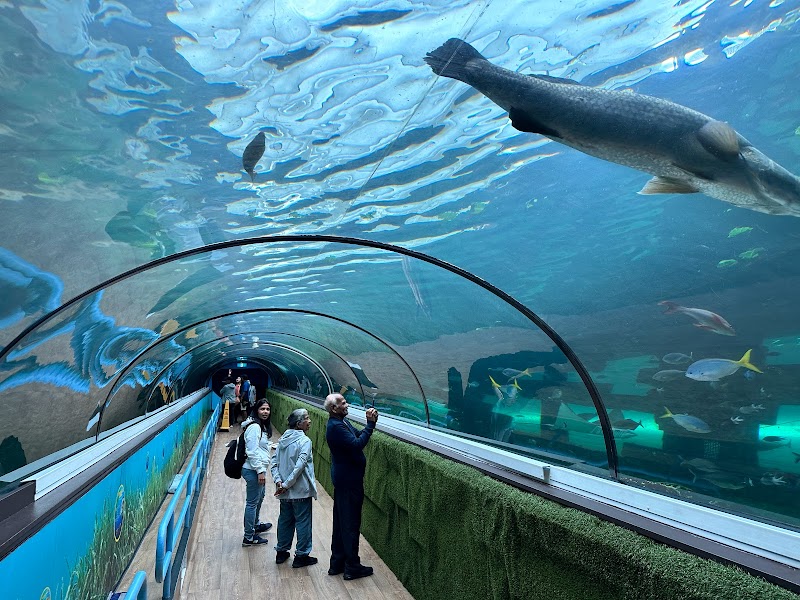 SEA LIFE Sydney Aquarium in Australia