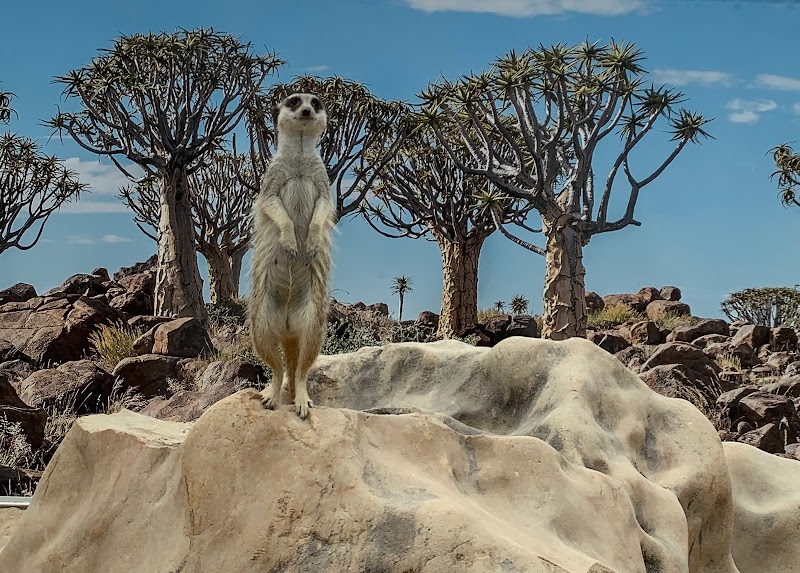 Sydney Zoo in Australia