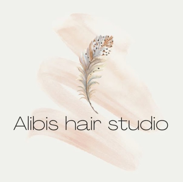 Alibi's Hair Studio