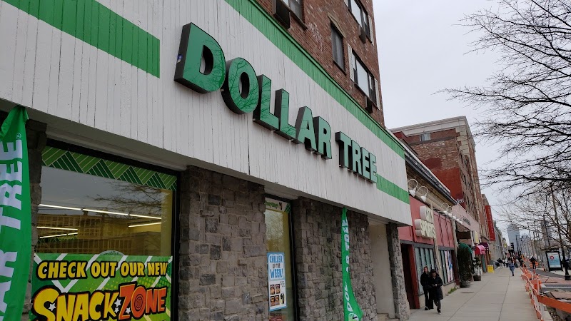 Dollar Tree in Boston MA