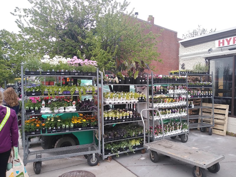 Frager's Garden Center in Washington DC