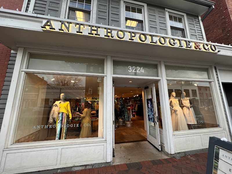 Anthropologie