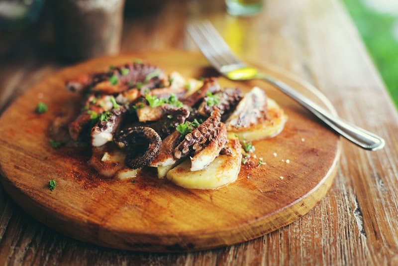 Abrolhos Octopus in Geraldton, Western Australia