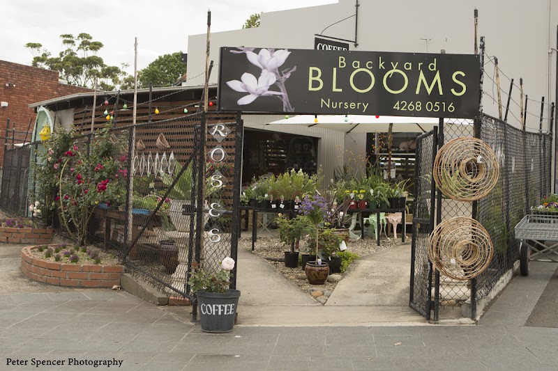 Backyard Blooms in Wollongong, New South Wales