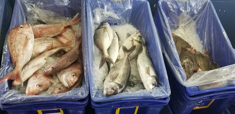 Constitution Dock Fresh Fish in Hobart, Tasmania