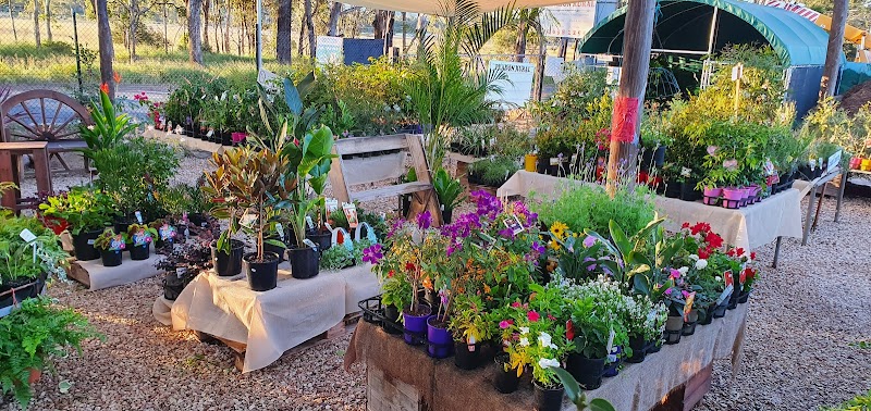 Coroneos Nursery in Toowoomba, Queensland