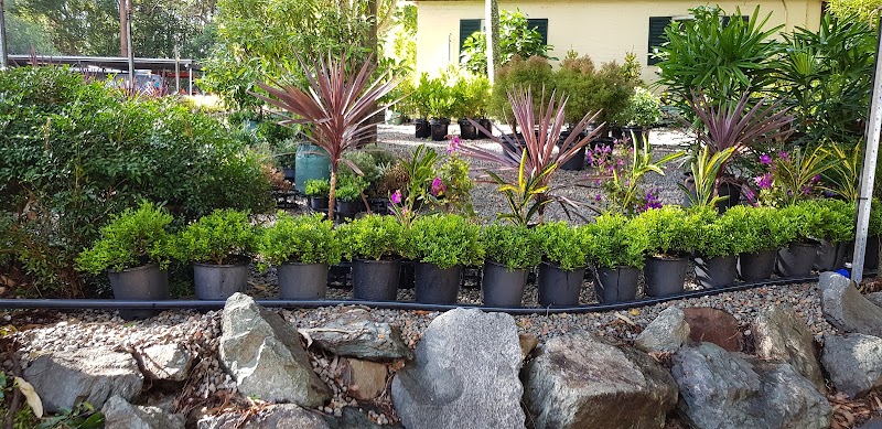 Daly's Native Plants in Brisbane, Queensland