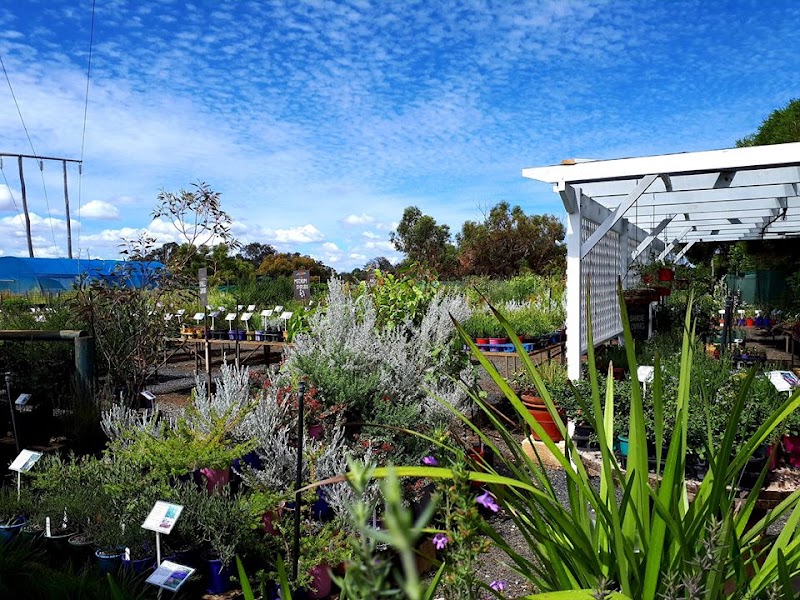 Little Angels Early Learning Centre in Bunbury, Western Australia