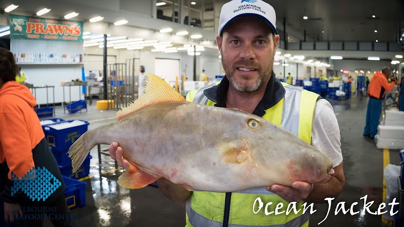 Melbourne Seafood Centre in Sunbury, Victoria