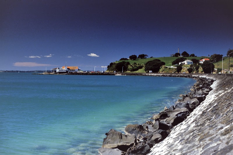 Okahu Bay Beach in Auckland, New Zealand