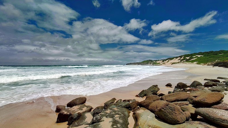 Putty Beach in Central Coast, Australia