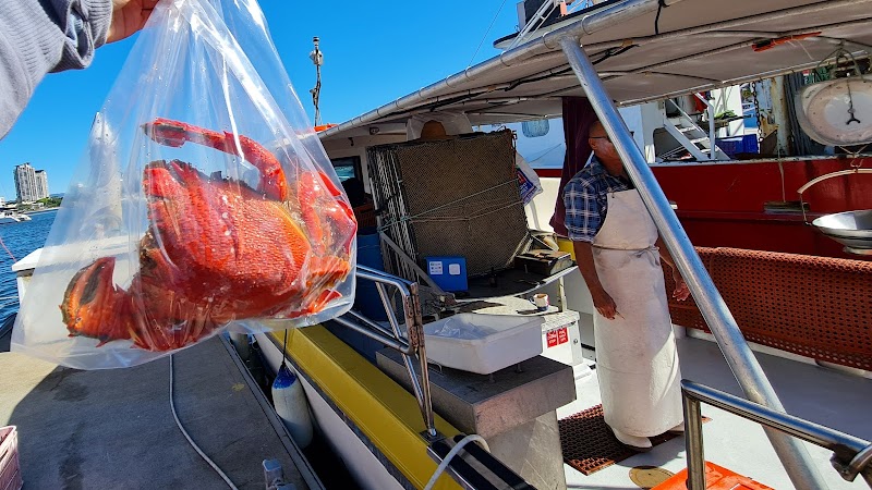 Tasman Star Seafood Market in Gold Coast, Queensland