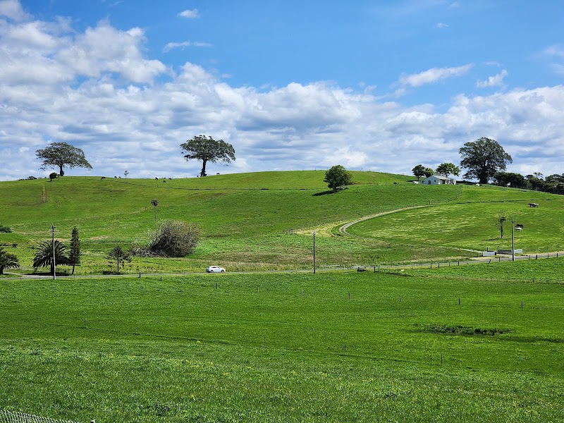 Experience 8 Top-rated Rest Area in Wollongong, New South Wales ...