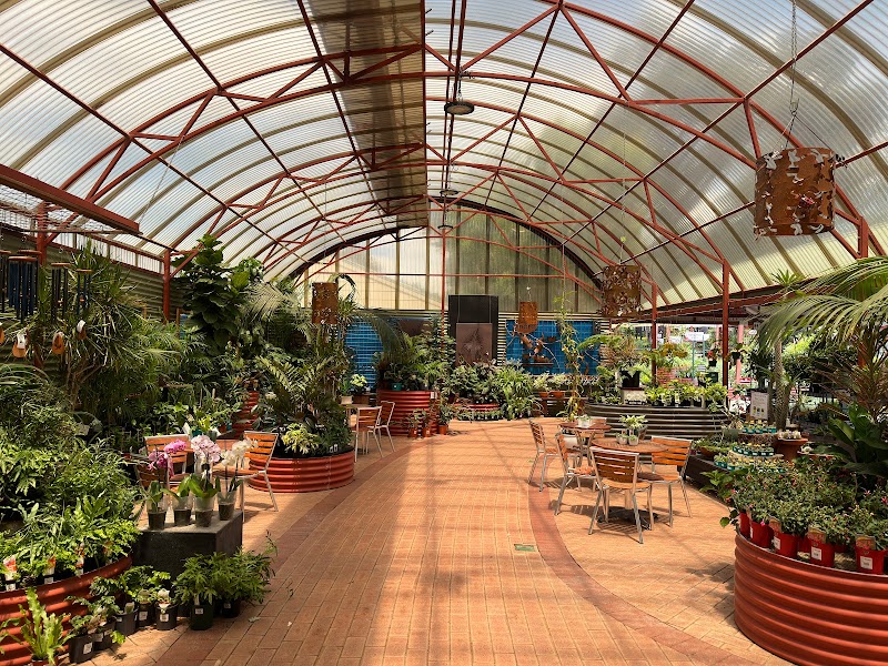 Zanthorrea Nursery in Perth, Western Australia