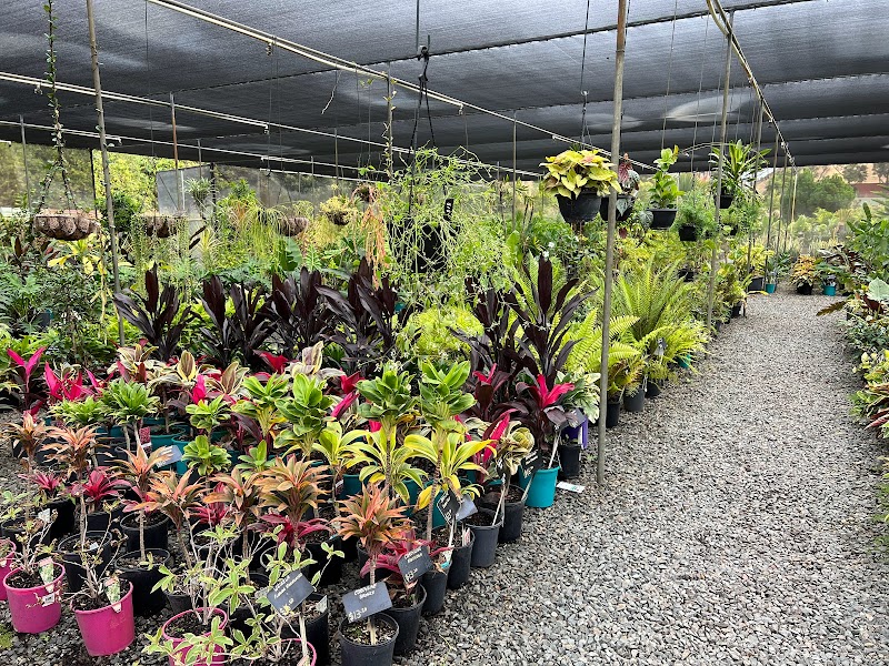 Zanthorrea Nursery in Perth, Western Australia