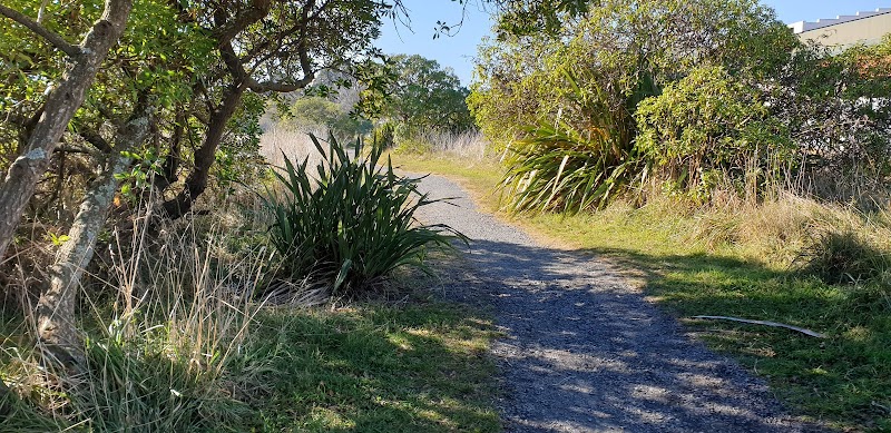 Ahuriri Estuary Walk in Napier-Hastings, New Zealand