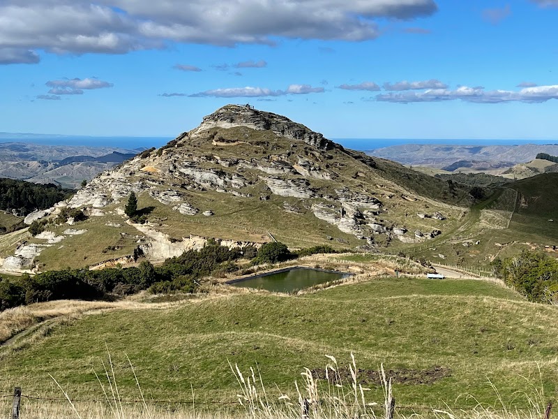 Ahuriri Estuary Walk in Napier-Hastings, New Zealand