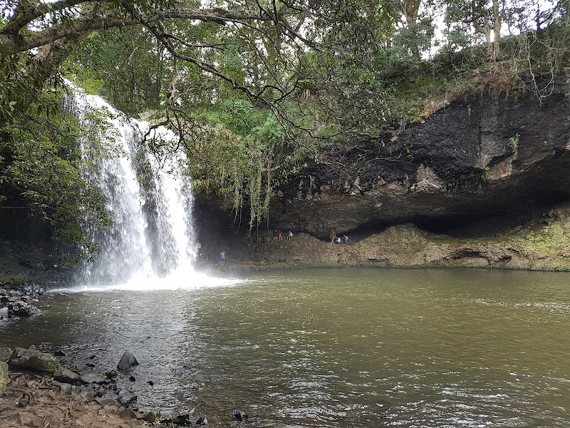 Arakwal National Park in Lismore, Australia