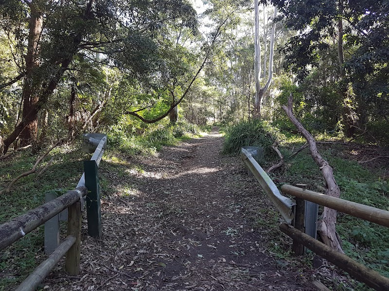 Auburn Fauna Reserve in Sydney, Australia