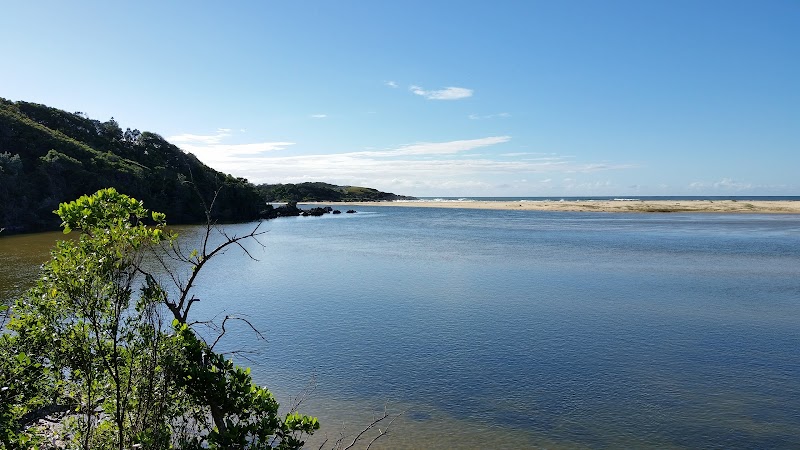 Bongil Bongil National Park in Coffs Harbour, Australia