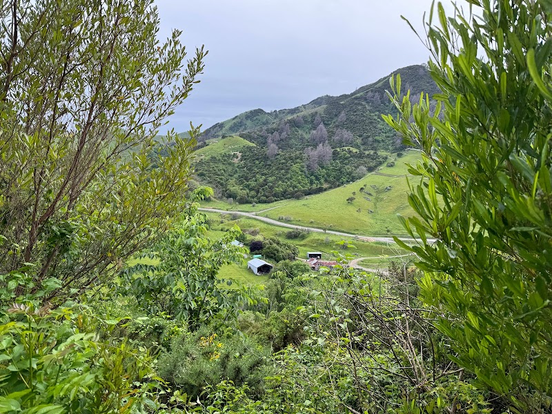 Branford Park in Nelson, New Zealand