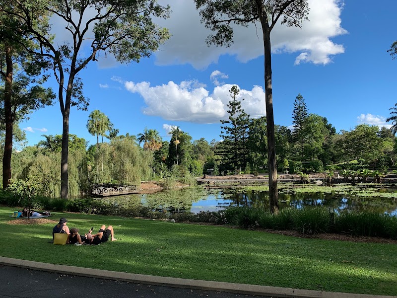 Brisbane Botanic Gardens Lagoon in Brisbane, Australia