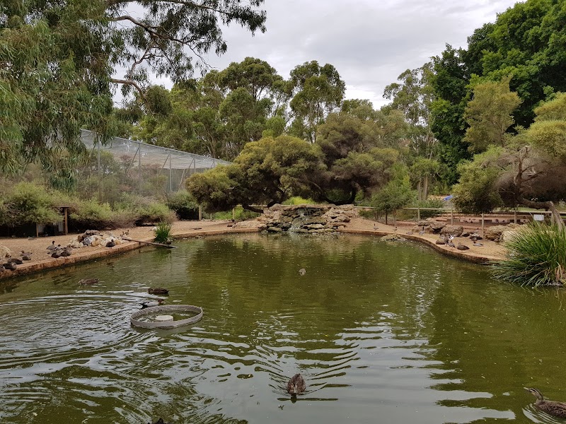 Conservation Reserve in Bunbury, Australia