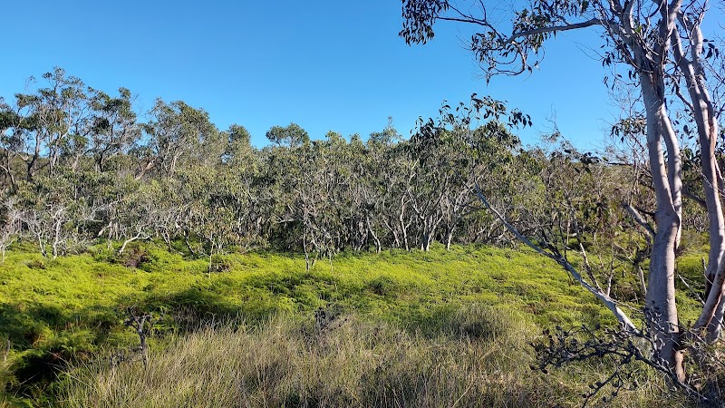 Emu Mountain in Sunshine Coast, Australia