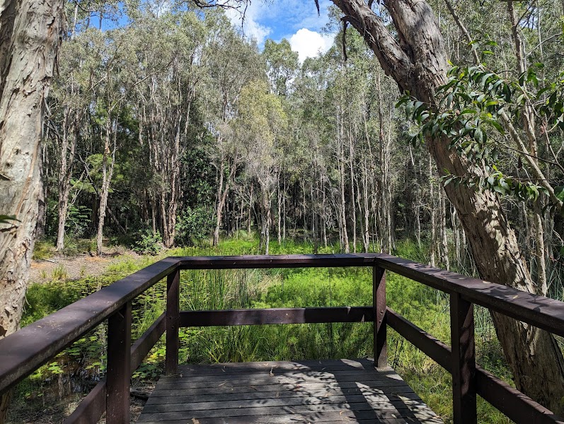 Emu Mountain in Sunshine Coast, Australia