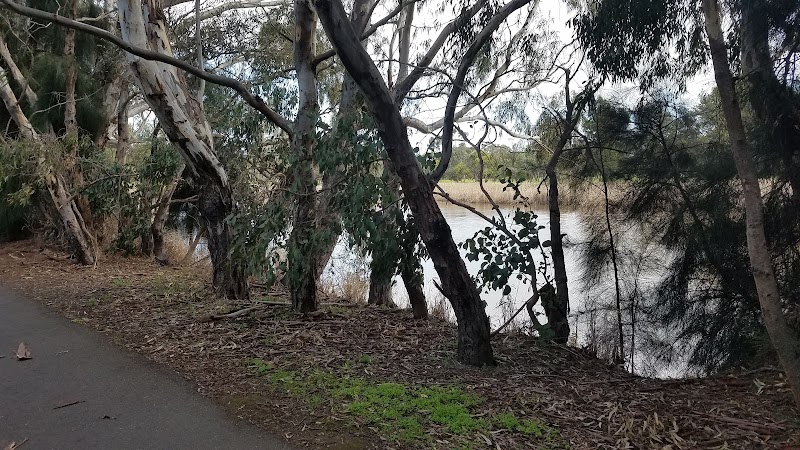 Geelong Bollard Trail Walk in Geelong, Australia