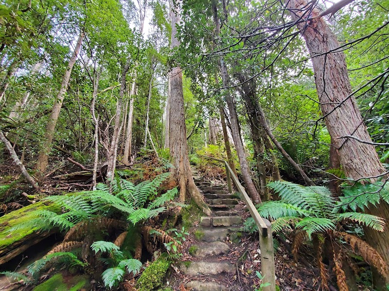 Gordons Hill Nature Recreation Area in Hobart, Australia