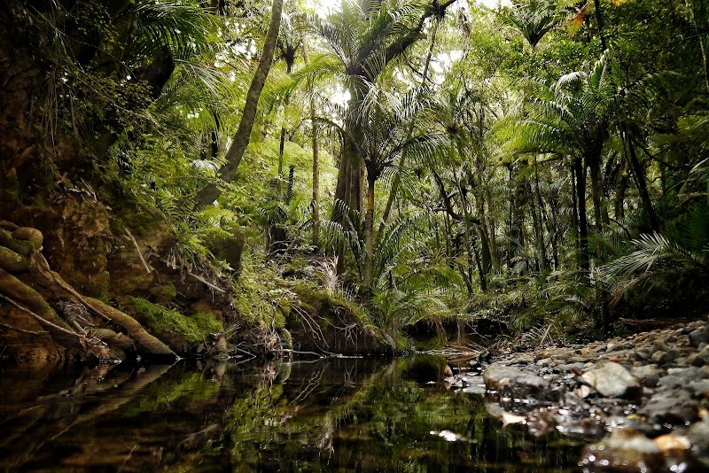 Hatea Drive Reserve in Whangarei, New Zealand