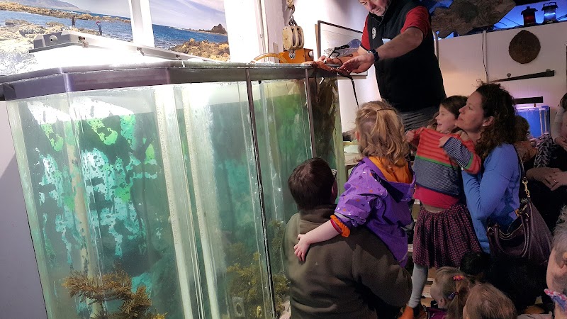 Island Bay Marine Education Centre-Bait House Aquarium in Wellington, New Zealand