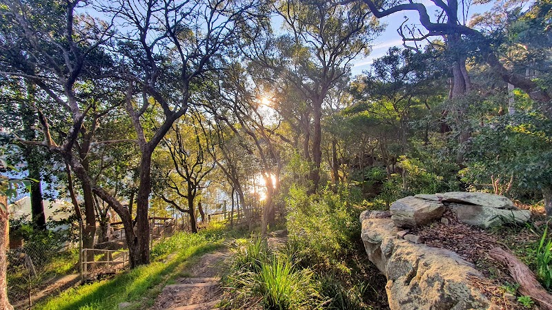 Karloo walking track in Sydney, Australia