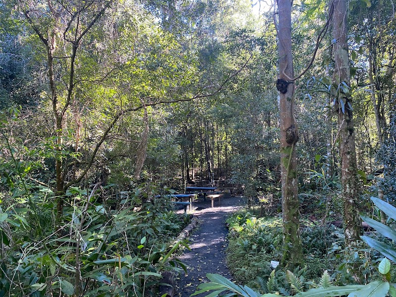 Lismore Rainforest Botanic Gardens in Lismore, Australia