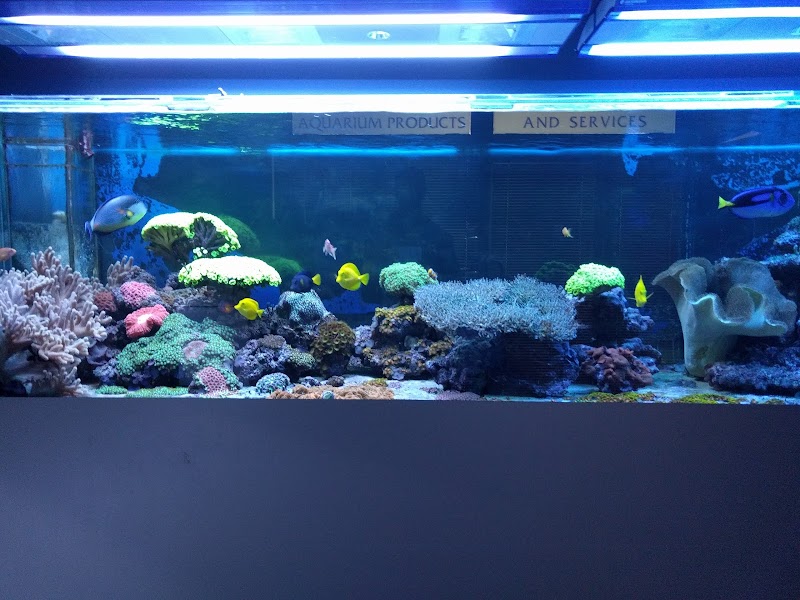 Living Reef in Christchurch, New Zealand