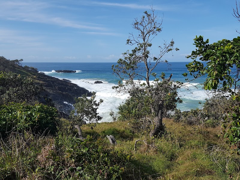 Macauleys Headland Walk in Coffs Harbour, Australia