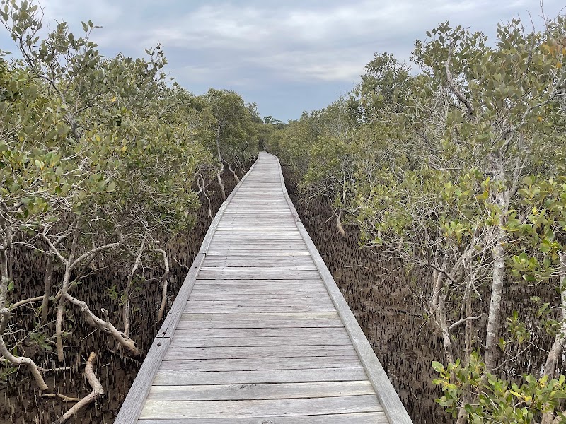 Macauleys Headland Walk in Coffs Harbour, Australia