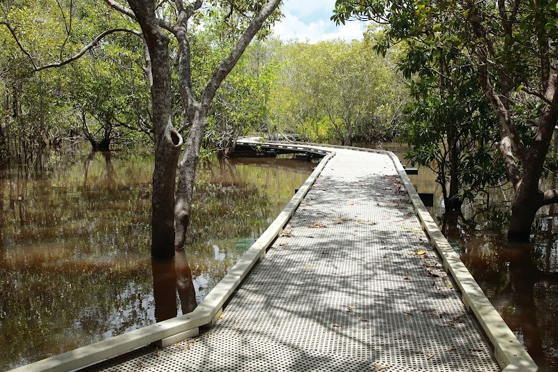Maroochy Wetland Sanctuary in Sunshine Coast, Australia