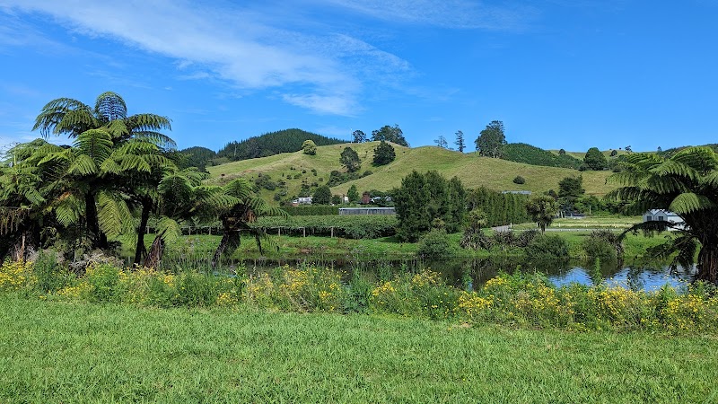 Miles Lane Reserve in Tauranga, New Zealand