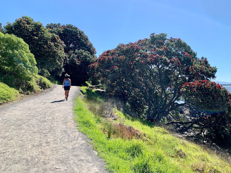 Miles Lane Reserve in Tauranga, New Zealand