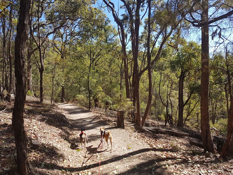 Milne Hill Reserve in Brisbane, Australia