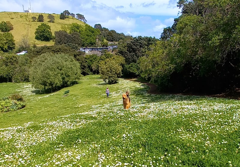 Mt. Cambria Reserve in Auckland, New Zealand