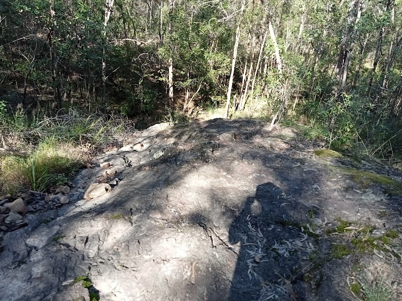 Nerang National Park in Gold Coast, Australia