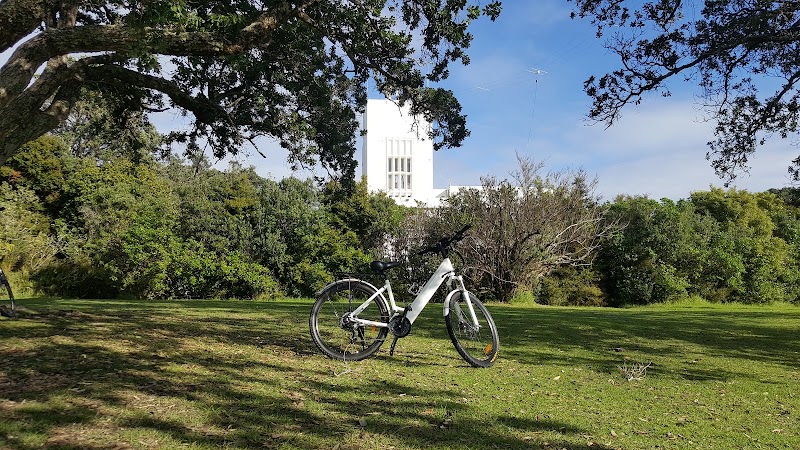 Old Blue Bikes in Auckland, New Zealand