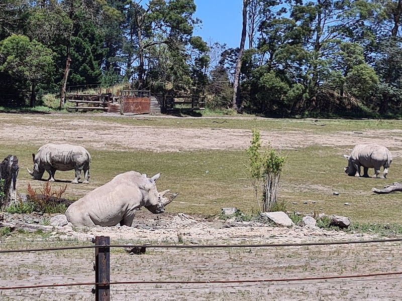 Orana Wildlife Park in Christchurch, New Zealand