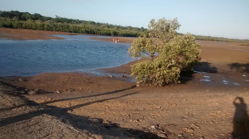 Palm Point in Gladstone, Australia