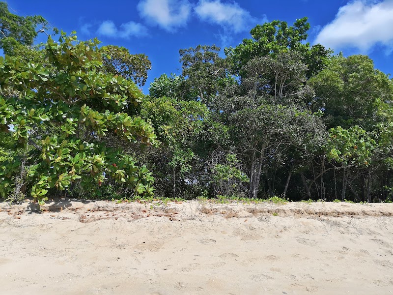 Pelican Park Esplanade Reserve in Cairns, Australia