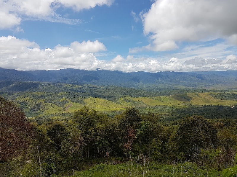 Rainforest Habitat in Lae, Papua New Guinea